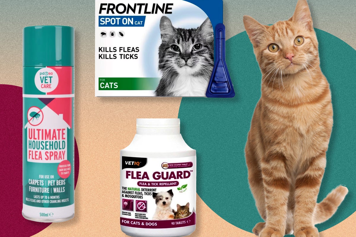 Best flea treatment for cats 2026: Vet-recommended spot-on and oral